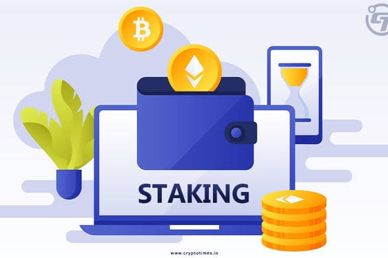 the-relevance-of-over-protocol-staking-opportunities